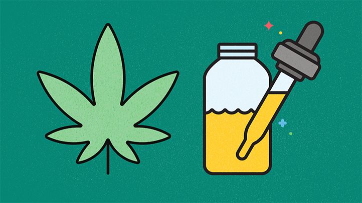 “The Future of CBD Flowers: Trends and Innovations in the Market”